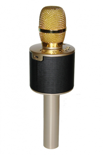 Беспроводной караоке миĸpoфон со встроенной колонкой и LED подсветкой D03, золото